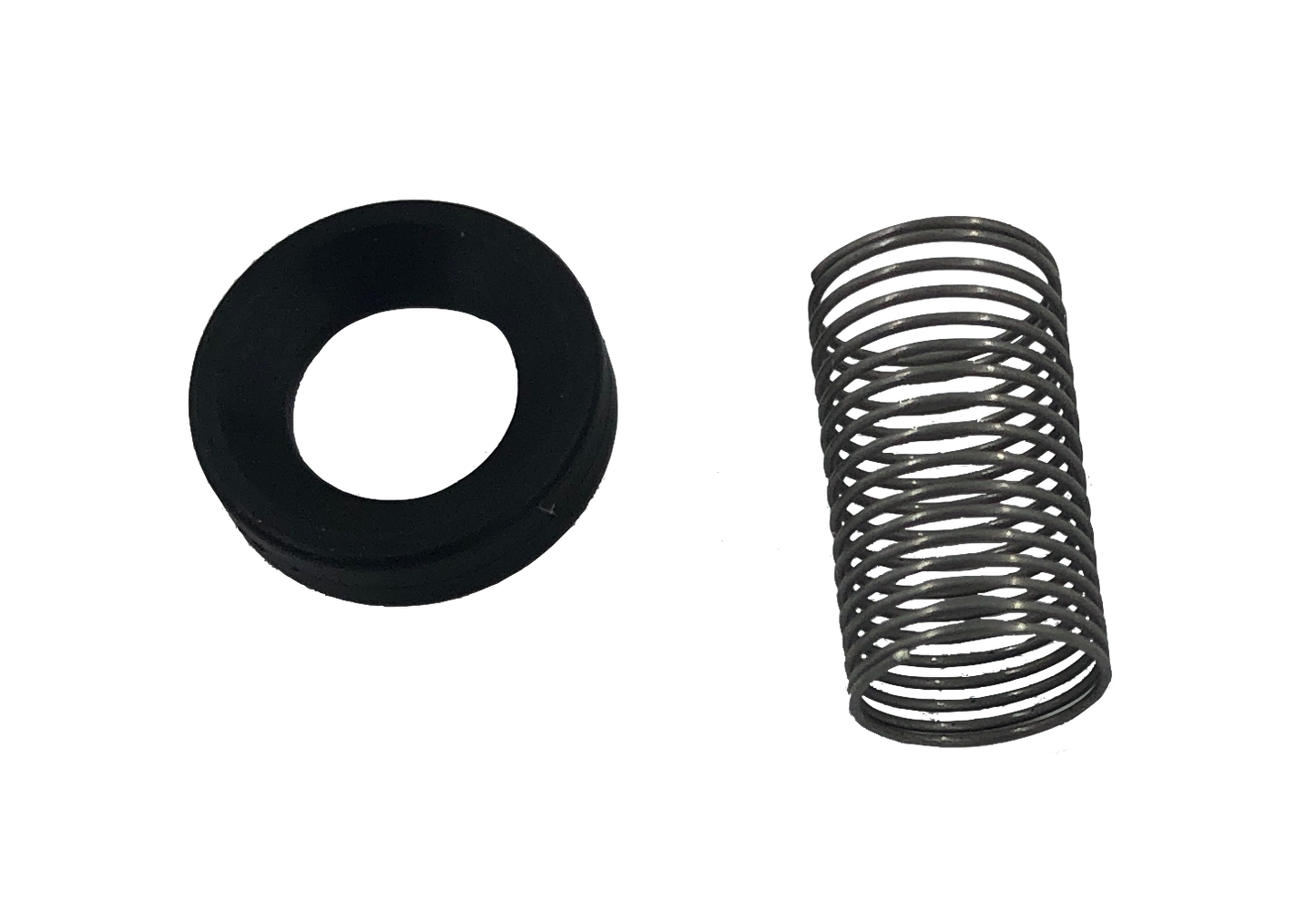 Check-Valve-Repair-Kit